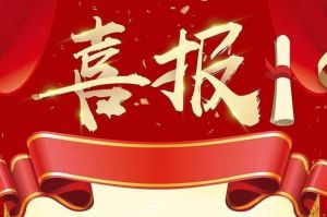 关于2022年度人力资源服务评选结果的通报，祝贺华体会体育（中国）HTH·官方网站集团