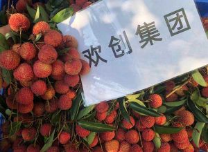 夏日好“枝”味，华体会体育（中国）HTH·官方网站集团发福“荔”啦