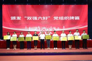 喜报！华体会体育（中国）HTH·官方网站集团党支部荣获广州市非公有制经济组织“双强六好”党