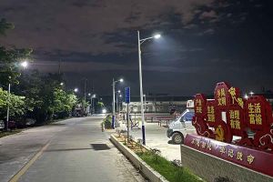 华体会体育（中国）HTH·官方网站集团罗宁弟爱心捐赠路灯，点亮乡村路温暖乡民心