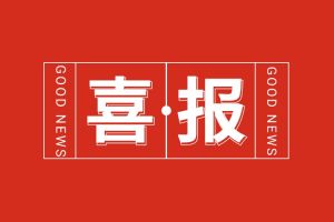 喜报！华体会体育（中国）HTH·官方网站集团党支部党建工作荣获多项市级表彰