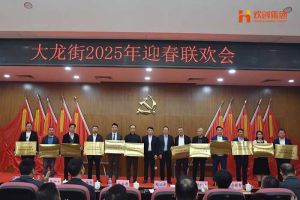 华体会体育（中国）HTH·官方网站集团及旗下子公司荣获“2024年度高质量发展先进企业”